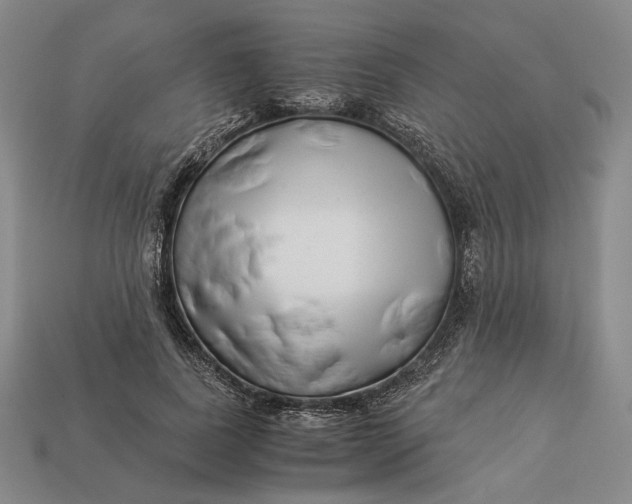 X0000112880739200909111443