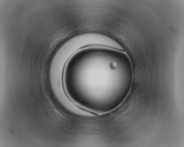 X0000112880740200909111443