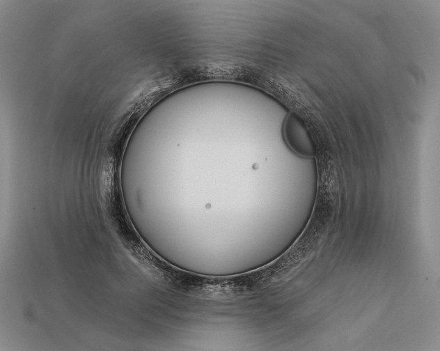 X0000112880744200909111443