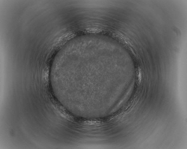 X0000112880745200909111443