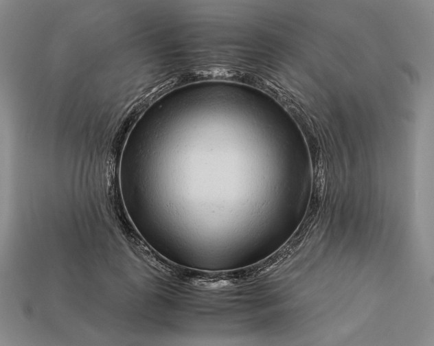 X0000112880747200909111443