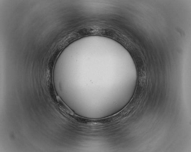 X0000112880748200909111443