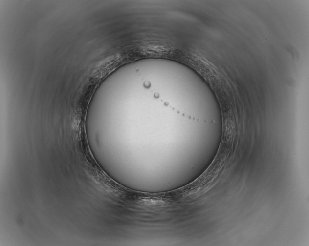 X0000112880749200909111443