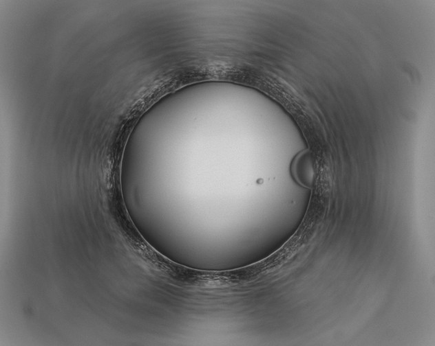 X0000112880750200909111443