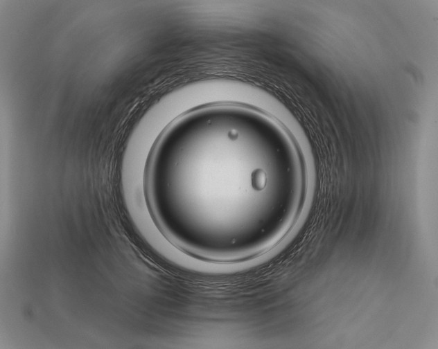 X0000112880752200909111443