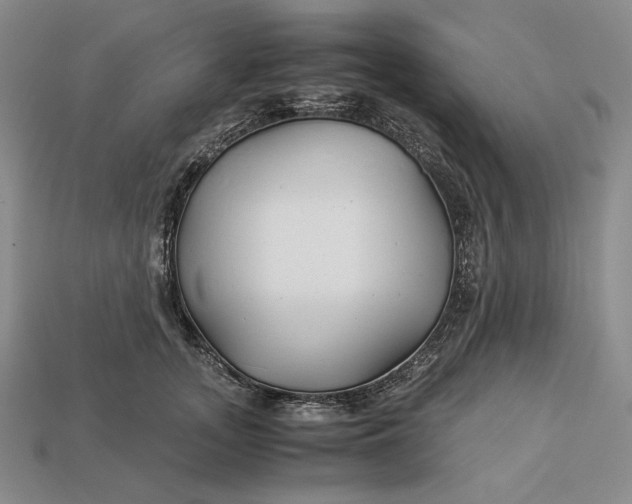 X0000112880755200909111443