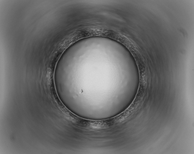 X0000112880757200909111443