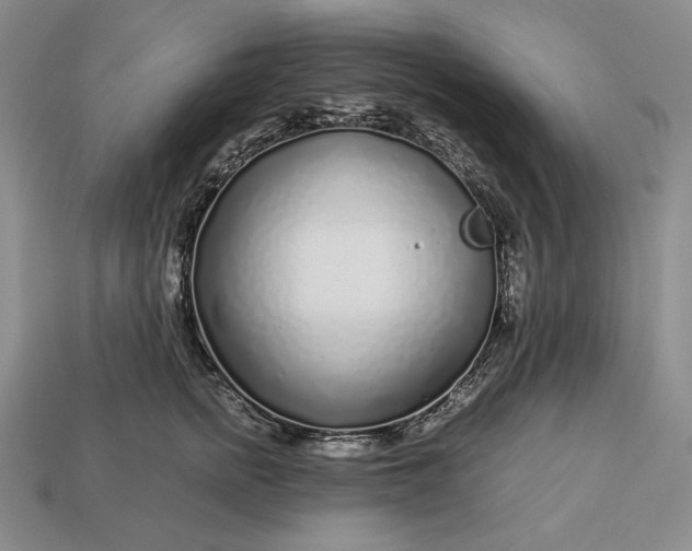 X0000112880758200909111443