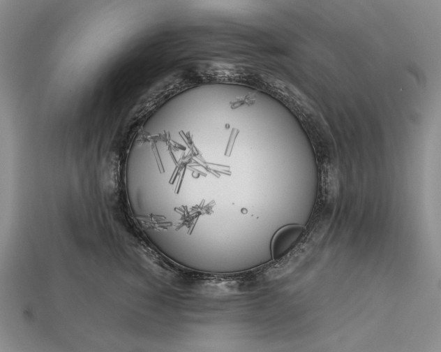 X0000112880760200909111443