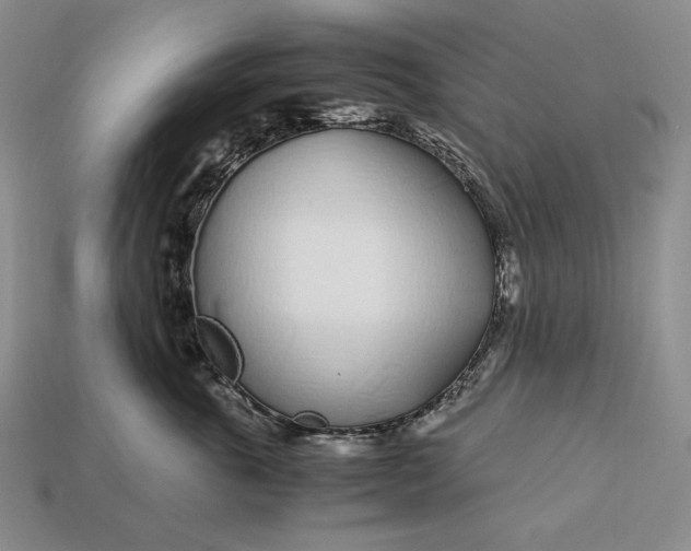 X0000112880763200909111443