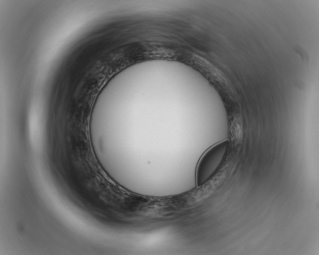 X0000112880764200909111443