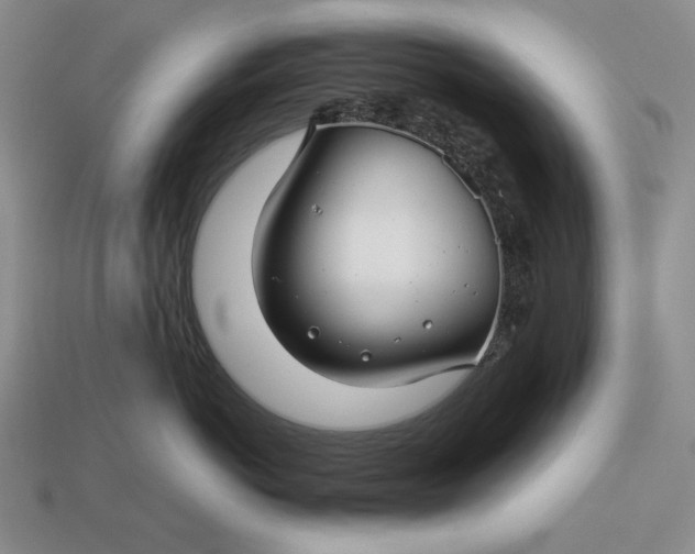 X0000112880766200909111443