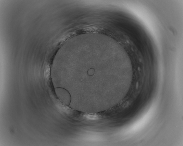 X0000112880767200909111443