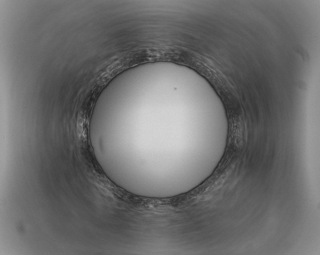 X0000112880770200909111442