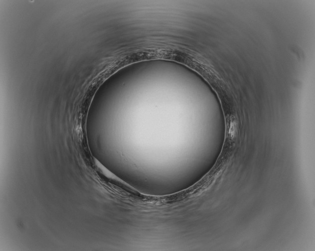 X0000112880771200909111442