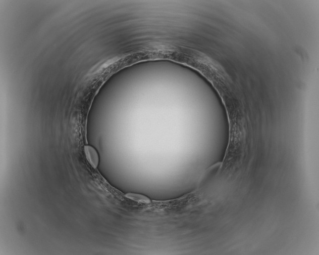 X0000112880773200909111442