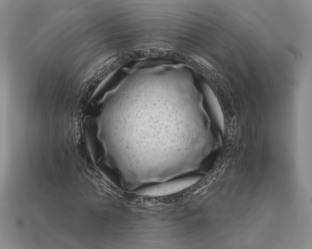 X0000112880774200909111442