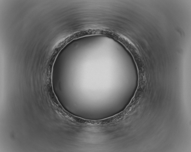 X0000112880775200909111442