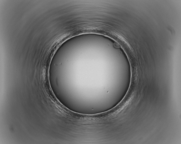 X0000112880777200909111442