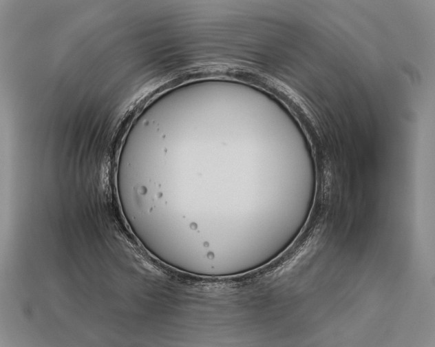 X0000112880778200909111442