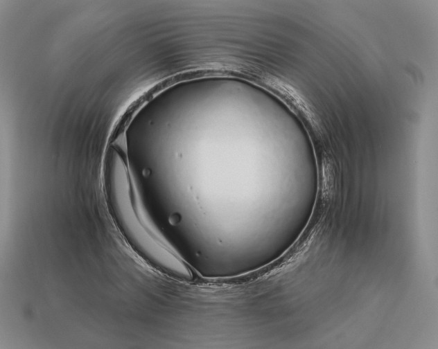 X0000112880780200909111442