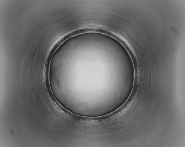 X0000112880783200909111442