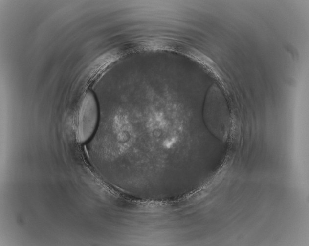 X0000112880785200909111442