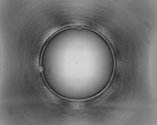 X0000112880789200909111442