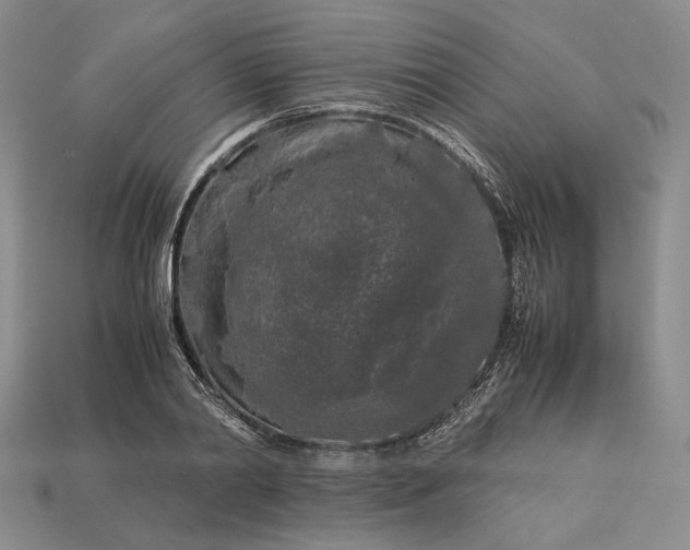 X0000112880790200909111442