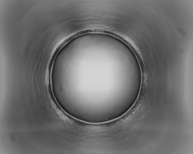 X0000112880791200909111442