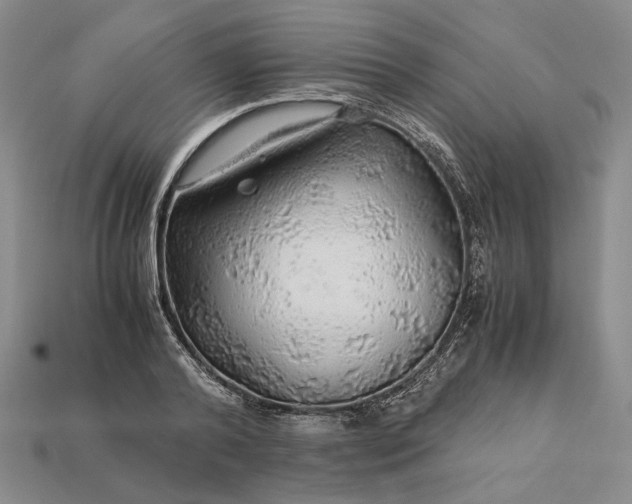 X0000112880792200909111442