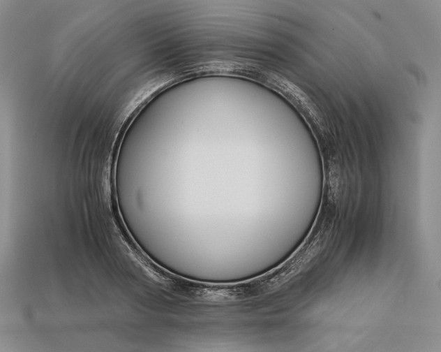 X0000112880794200909111442