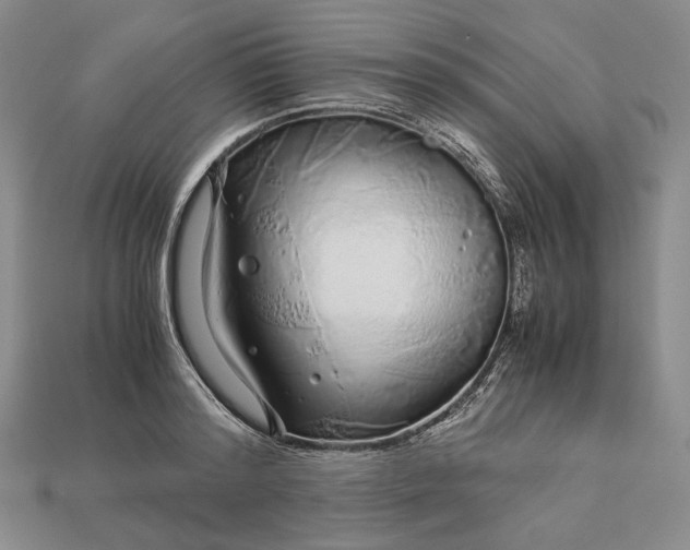 X0000112880796200909111442