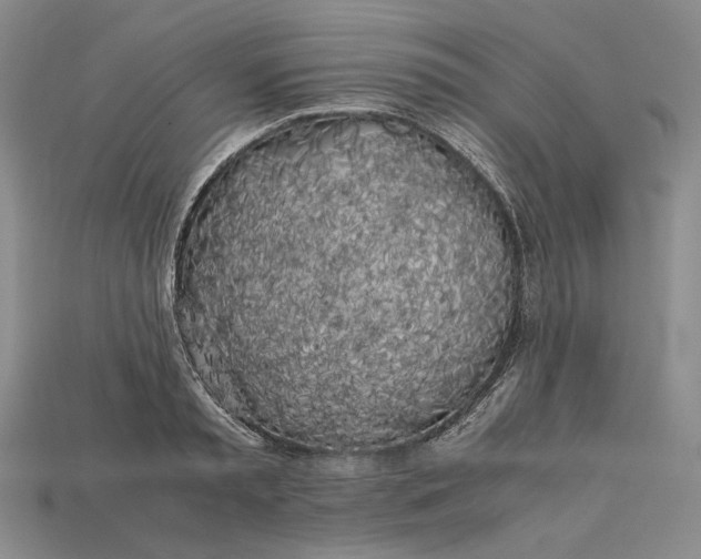 X0000112880797200909111442