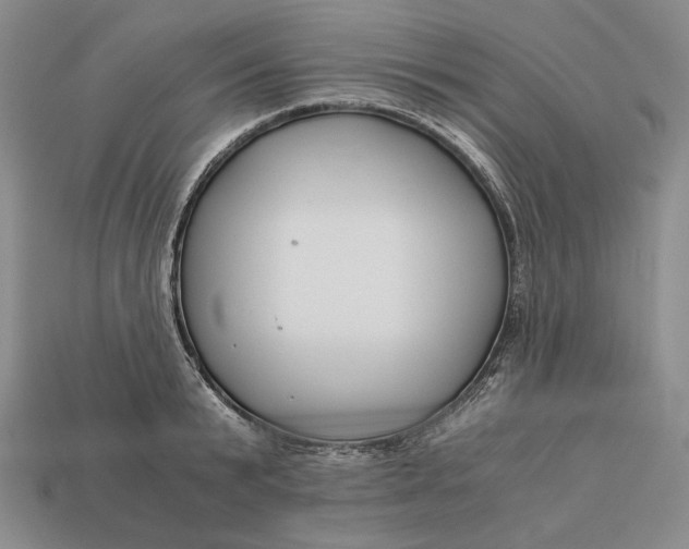 X0000112880799200909111442