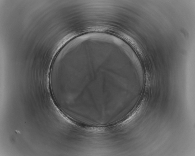 X0000112880802200909111442