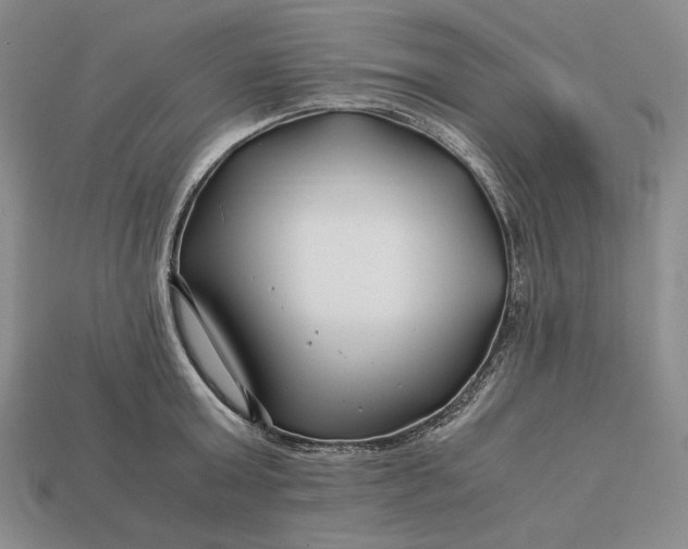 X0000112880803200909111442