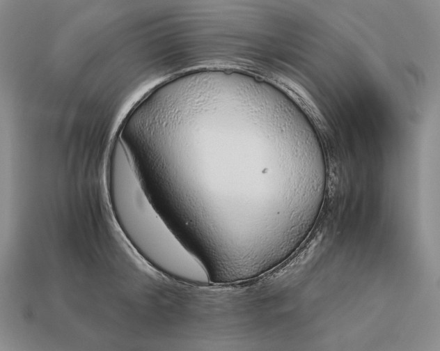 X0000112880804200909111442