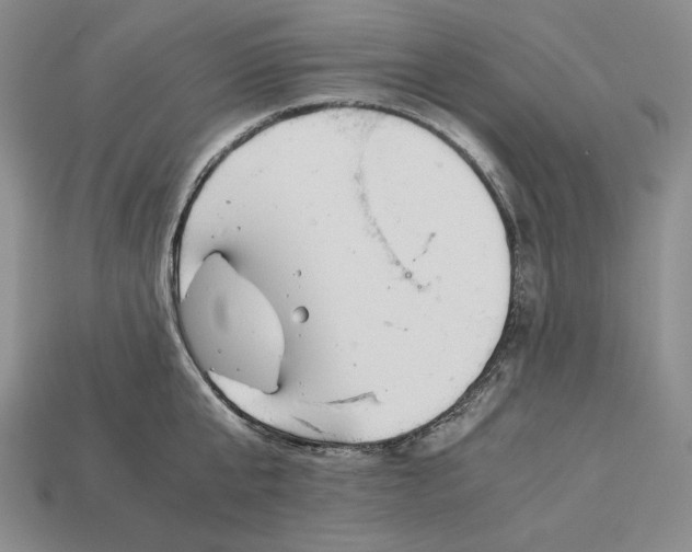 X0000112880807200909111442