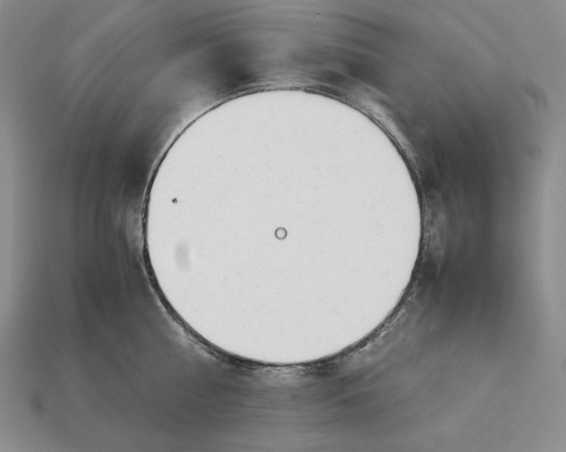 X0000112880810200909111442