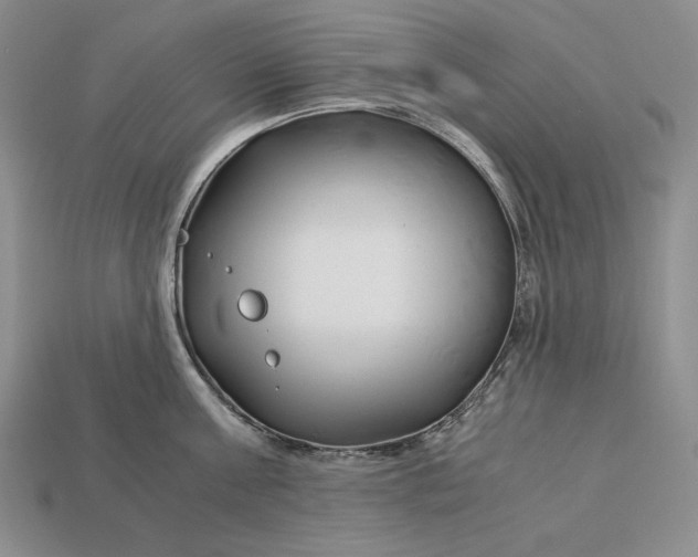 X0000112880811200909111442