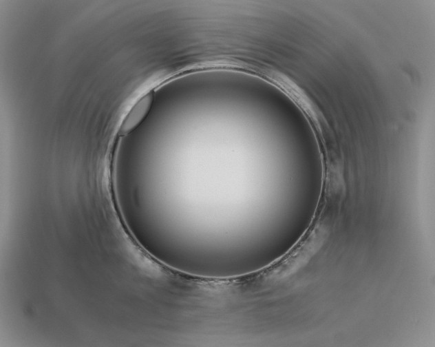 X0000112880813200909111442