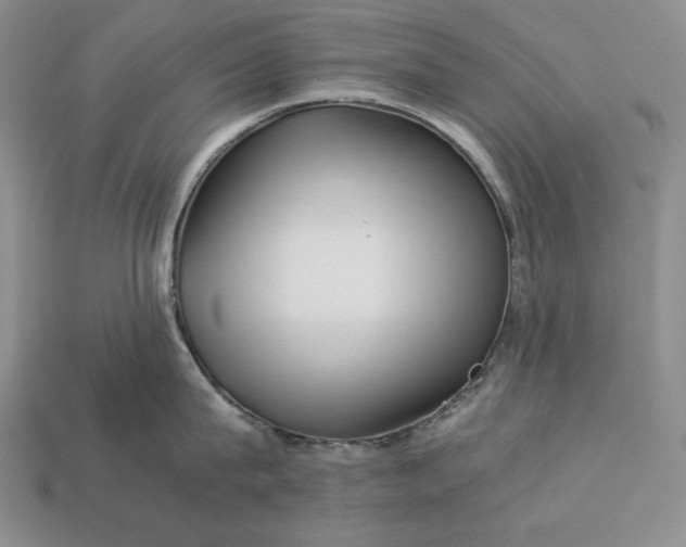 X0000112880815200909111442