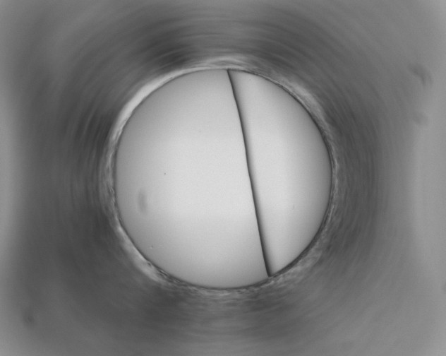 X0000112880816200909111442