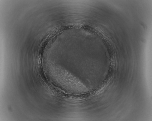 X0000112880818200909111441