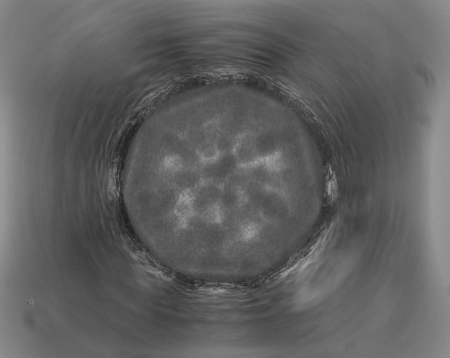 X0000112880819200909111441