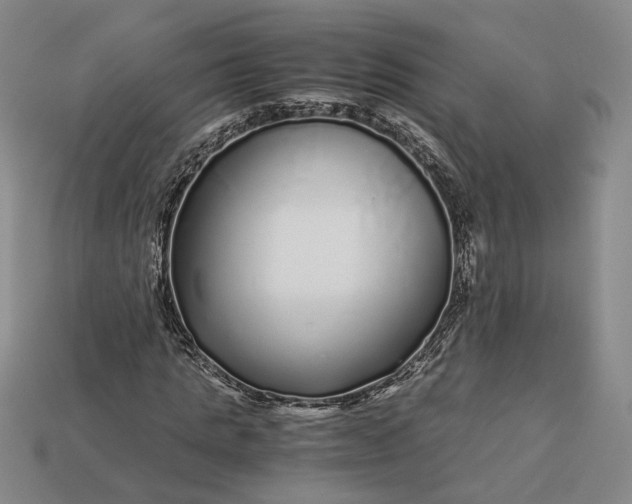 X0000112880821200909111441