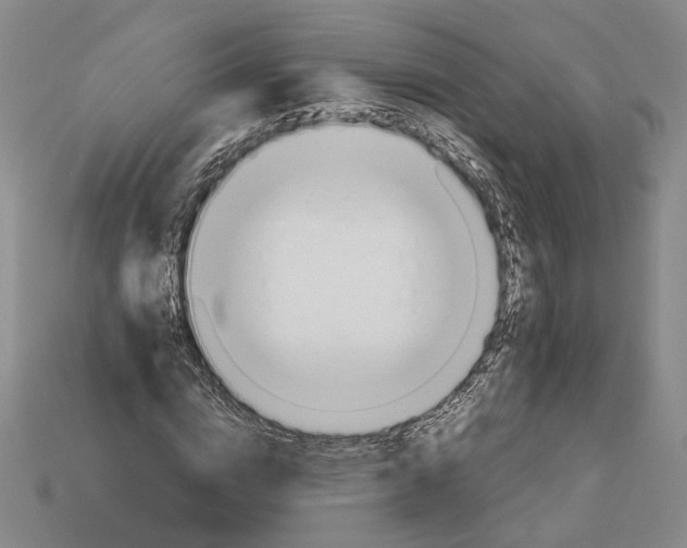 X0000112880824200909111441