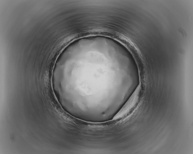 X0000112880825200909111441