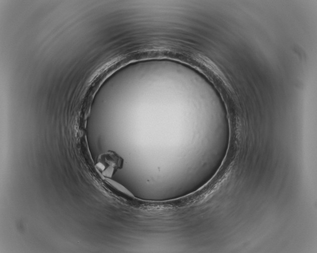 X0000112880826200909111441